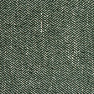 Enea Verde by Gaston Y Daniela Fabric