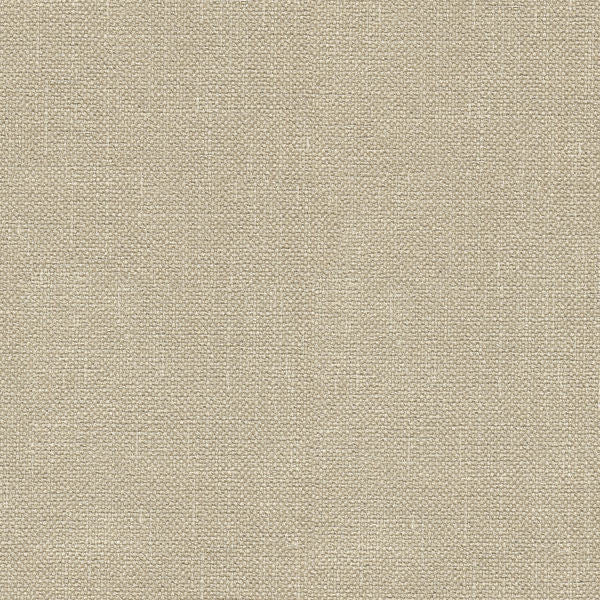 Kravet Basics 33120-116 by Kravet Basics Fabric