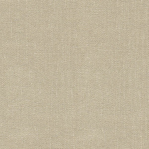 Kravet Basics 33120-116 by Kravet Basics Fabric