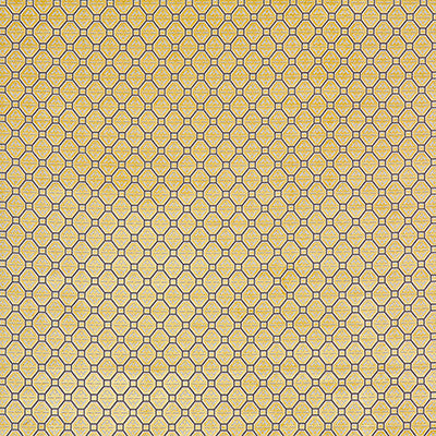 Calabrez Amarillo by Gaston Y Daniela Fabric