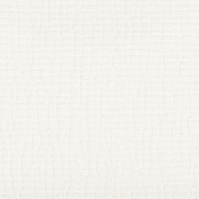 Cachuma Ivory by Kravet Couture Fabric