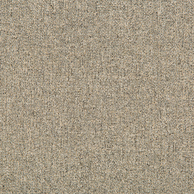 Tweedford Linen by Kravet Basics Fabric