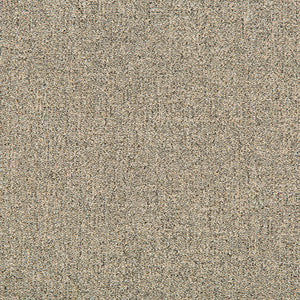 Tweedford Linen by Kravet Basics Fabric