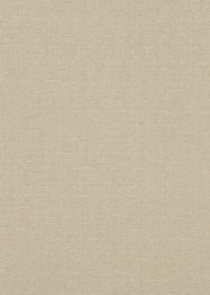 Lansdowne Buff by Baker Lifestyle Fabric