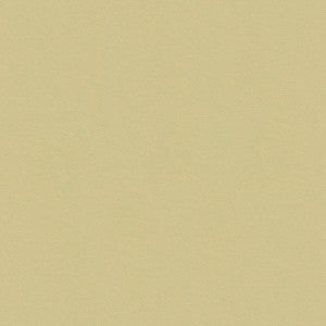 Kravet Smart 32565-116 by Kravet Smart Fabric