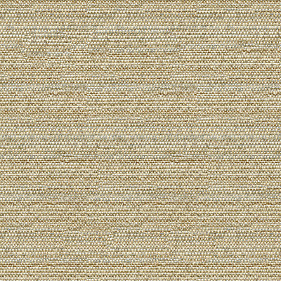 Kravet Couture 34274-1611 by Kravet Couture Fabric