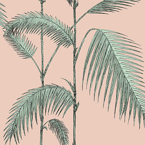 Palm Leaves Plaster Pink/Mint by Cole & Son Wallcovering