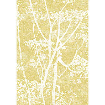 Cow Parsley Wht & Chartre by Cole & Son Fabric