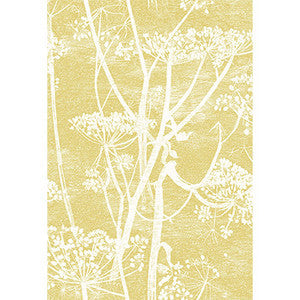 Cow Parsley Wht & Chartre by Cole & Son Fabric