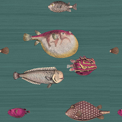Acquario Viridian by Cole & Son Wallcovering