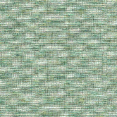 Kravet Basics 30299-1511 by Kravet Basics Fabric