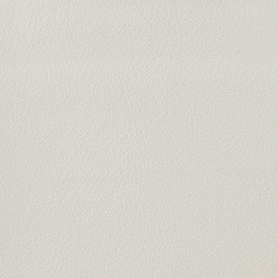 Kravet Basics Otto-101 by Kravet Basics Fabric