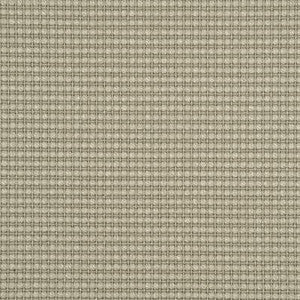 Avani Silver Birch by Threads Fabric