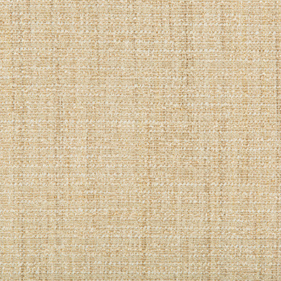 Kravet Smart 35396-14 by Kravet Smart Fabric