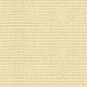 Kravet Smart 32946-1 by Kravet Smart Fabric