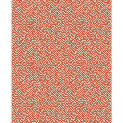 Vermicelli Coral by Cole & Son Wallcovering