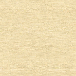 Kravet Design 4205-416 by Kravet Design Fabric