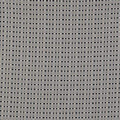 Out Blanco/Negro by Gaston Y Daniela Fabric
