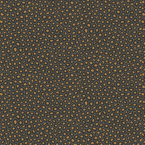 Senzo Spot Charcoal by Cole & Son Wallcovering