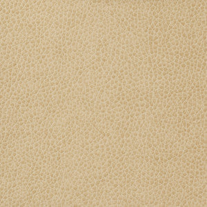 Kravet Basics Matter-1116 by Kravet Basics Fabric