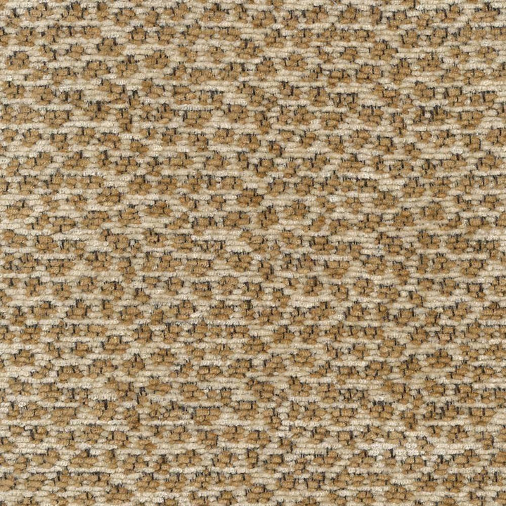 Apres Cream by Kasmir Fabric 1403 76% Rayon 24% Polyester CHINA Not Tested H: 1 2/8 inches, V:1 2/8 inches 54 - 55 - Fabric Carolina - Kasmir