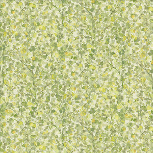 April Showers Pistachio  by Kasmir Fabric
