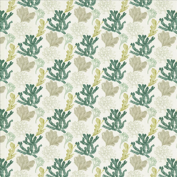 Aquata 55 Turquoise by Kasmir Fabric 1455 65% Polyester
35% Cotton
 SPAIN </p><p>Repeat: Horizontal: 11 inches and Vertical: 9 6/8 inches 55 - Fabric Carolina -