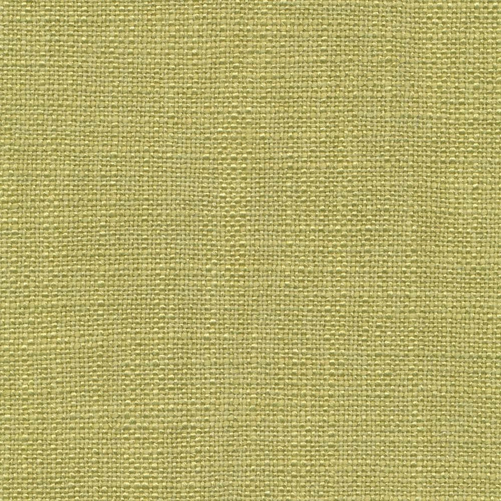 Arona Apple by Kasmir Fabric 1391 64% Rayon
36% Cotton
 INDIA 20,000 Wyzenbeek Double Rubs </p><p>Repeat: Horizontal: N/A and Vertical: N/A 54 - Fabric Carolina -