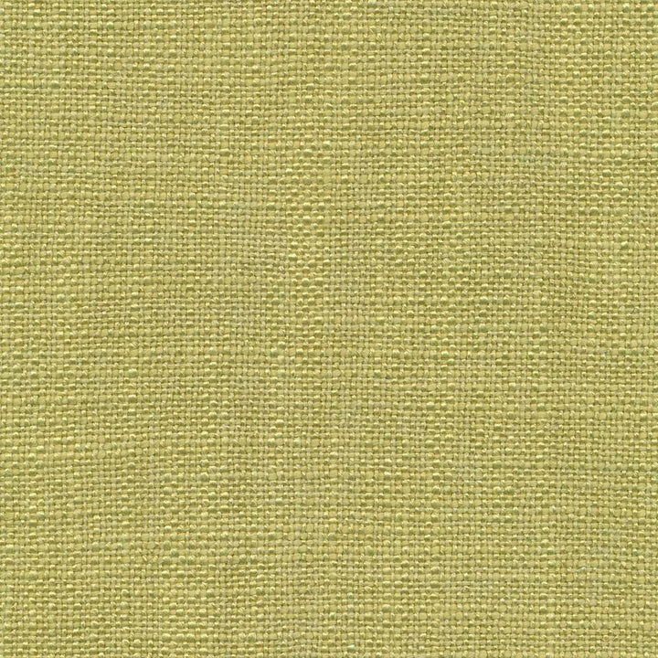 Arona Apple by Kasmir Fabric 1391 64% Rayon 36% Cotton INDIA 20,000 Wyzenbeek Double Rubs H: N/A, V:N/A 54 - 55 - Fabric Carolina - Kasmir