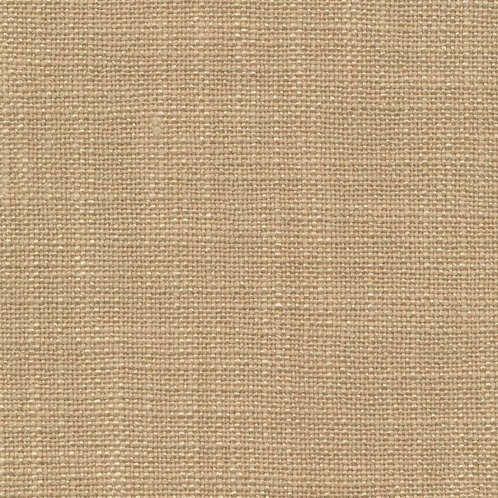 Arona Desert by Kasmir Fabric 1391 64% Rayon 36% Cotton INDIA 20,000 Wyzenbeek Double Rubs H: N/A, V:N/A 54 - 55 - Fabric Carolina - Kasmir