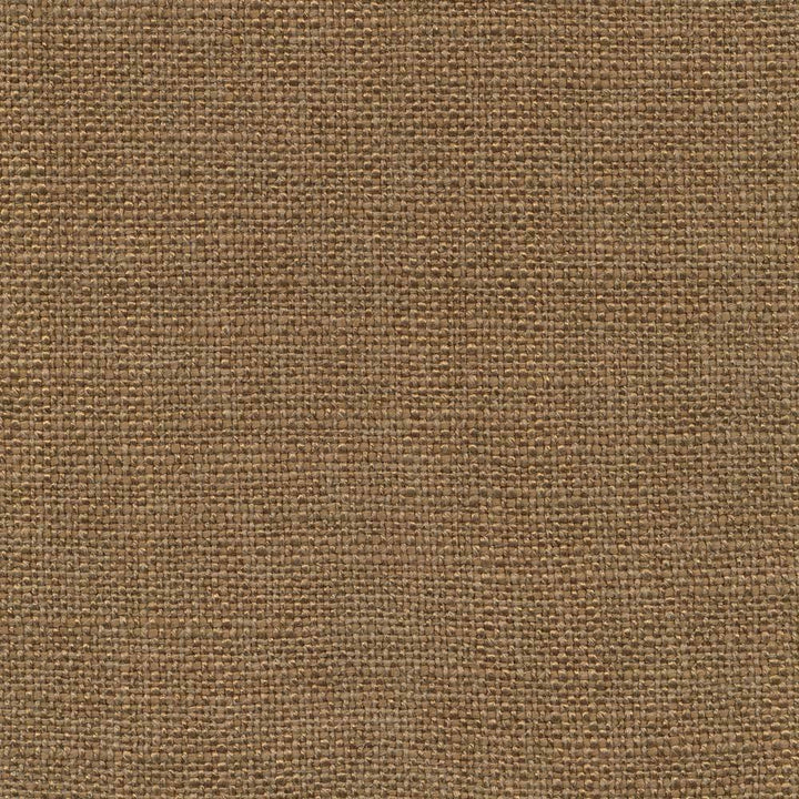Arona Mole by Kasmir Fabric 1391 64% Rayon 36% Cotton INDIA 20,000 Wyzenbeek Double Rubs H: N/A, V:N/A 54 - 55 - Fabric Carolina - Kasmir