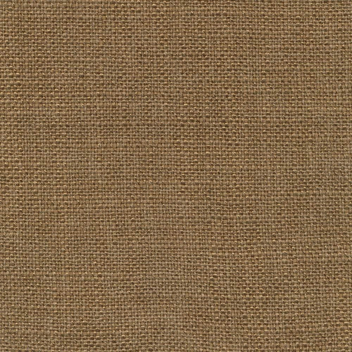 Arona Mole by Kasmir Fabric 1391 64% Rayon
36% Cotton
 INDIA 20,000 Wyzenbeek Double Rubs Horizontal: N/A and Vertical: N/A 54 - Fabric Carolina -