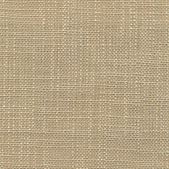 Arona Sand by Kasmir Fabric 1391 64% Rayon
36% Cotton
 INDIA </p><p>Repeat: Horizontal: N/A and Vertical: N/A 54 - 55 - Fabric Carolina -