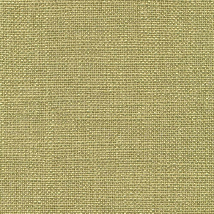 Arona Stem by Kasmir Fabric 1391 64% Rayon 36% Cotton INDIA 20,000 Wyzenbeek Double Rubs H: N/A, V:N/A 54 - 55 - Fabric Carolina - Kasmir
