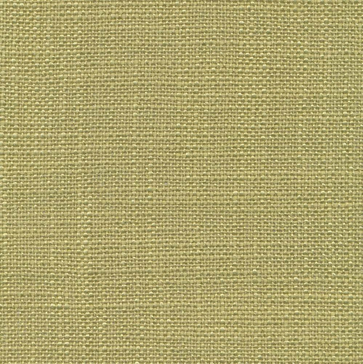Arona Stem by Kasmir Fabric 1391 64% Rayon 36% Cotton INDIA 20,000 Wyzenbeek Double Rubs Horizontal: 0 Inches and Vertical: 0 Inches 54 - 55 - Fabric Carolina -