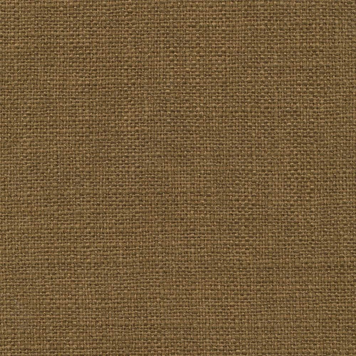 Arona Umber by Kasmir Fabric 1391 64% Rayon
36% Cotton
 INDIA 20,000 Wyzenbeek Double Rubs </p><p>Repeat: Horizontal: N/A and Vertical: N/A 54 - Fabric Carolina -