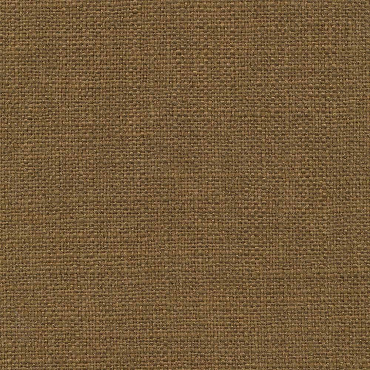 Arona Umber by Kasmir Fabric 1391 64% Rayon 36% Cotton INDIA 20,000 Wyzenbeek Double Rubs H: N/A, V:N/A 54 - 55 - Fabric Carolina - Kasmir