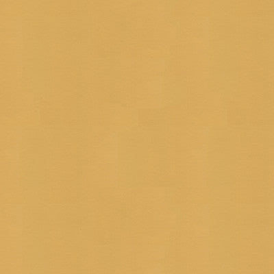 Artisanal Sand by Kravet Couture Fabric