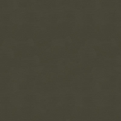Artisanal Pewter by Kravet Couture Fabric