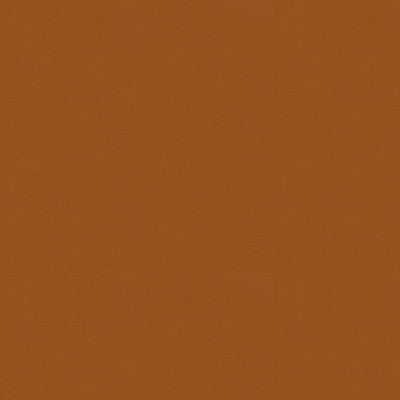 Artisanal Cashew by Kravet Couture Fabric
