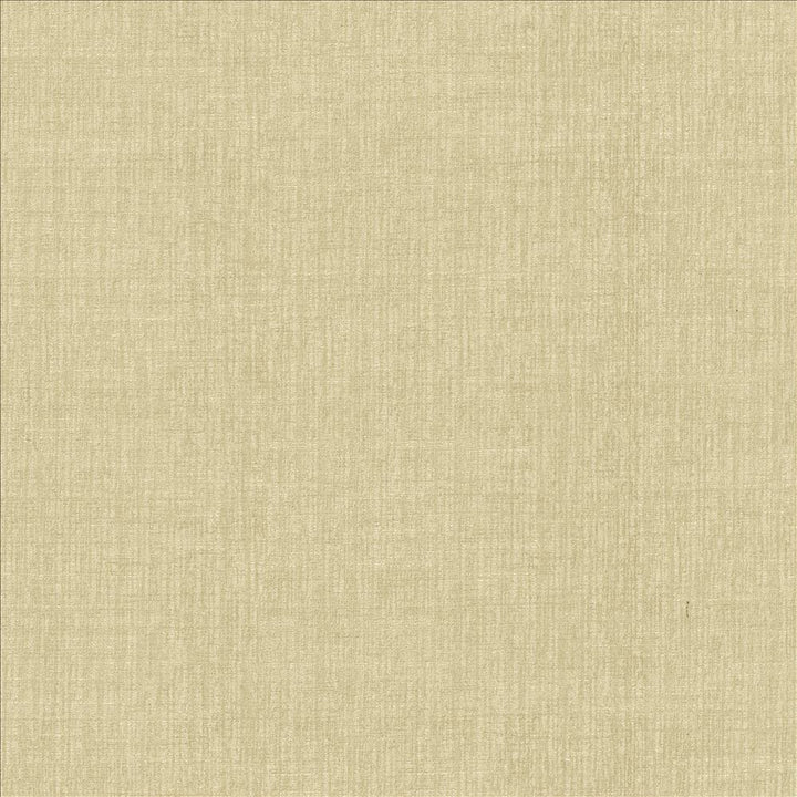 Ascent Bisque by Kasmir Fabric 5119 58% Polyester
42% Cotton
 INDIA </p><p>Repeat: Horizontal: N/A and Vertical: N/A 54 - Fabric Carolina -