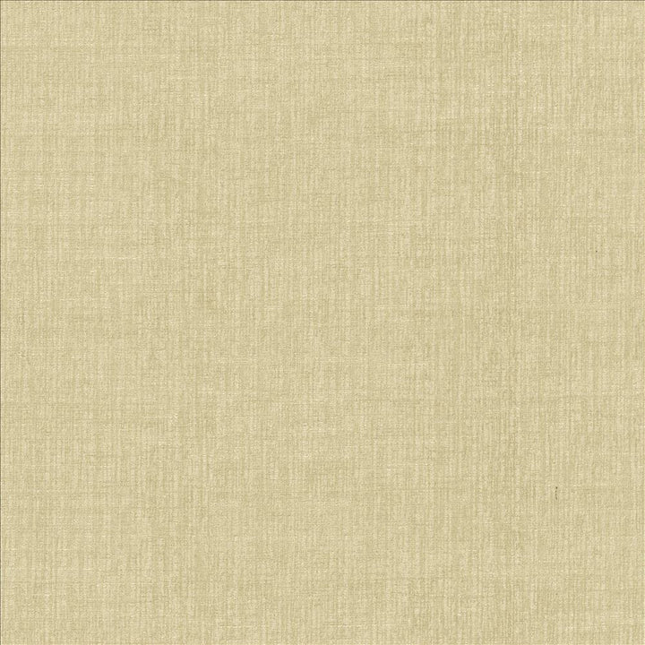 Ascent Bisque by Kasmir Fabric 5119 58% Polyester
42% Cotton
 INDIA 12,000 Wyzenbeek Double Rubs Horizontal: N/A and Vertical: N/A 54 - Fabric Carolina -