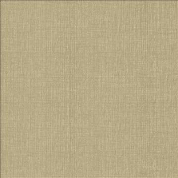 Ascent Latte by Kasmir Fabric 5119 58% Polyester 42% Cotton INDIA 12,000 Wyzenbeek Double Rubs H: N/A, V: N/A 54 - Fabric Carolina - Kasmir