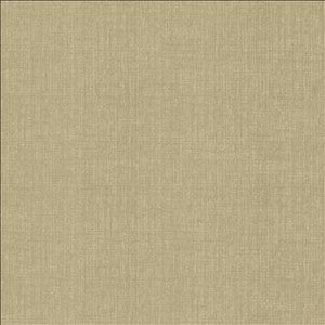 Ascent Latte by Kasmir Fabric
