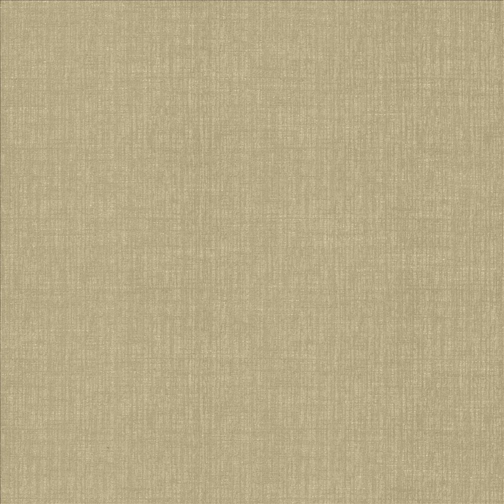 Ascent Latte by Kasmir Fabric 5119 58% Polyester
42% Cotton
 INDIA </p><p>Repeat: Horizontal: N/A and Vertical: N/A 54 - Fabric Carolina -