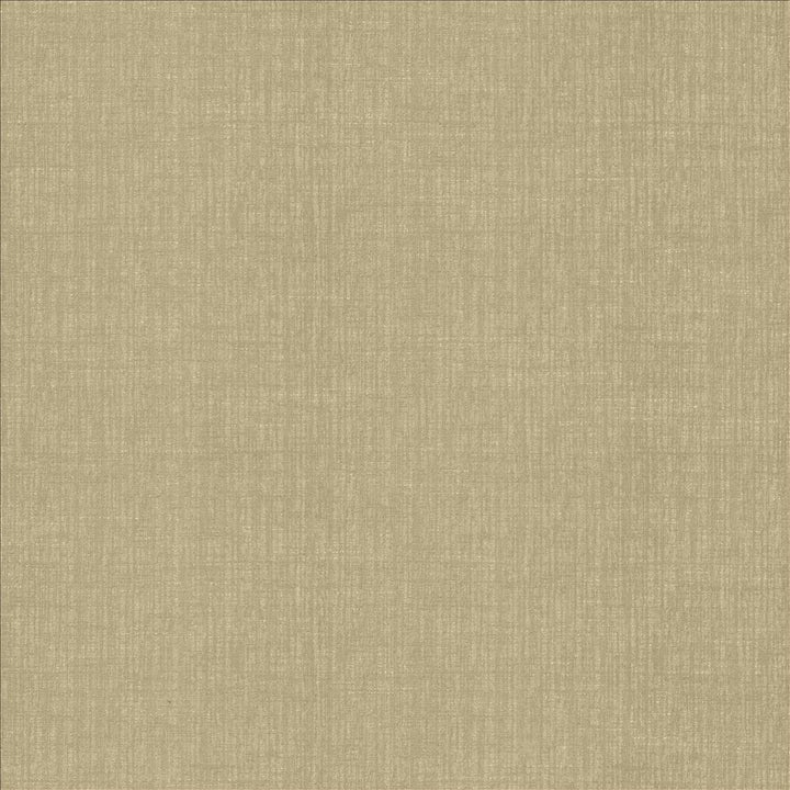 Ascent Latte by Kasmir Fabric 5119 58% Polyester
42% Cotton
 INDIA </p><p>Repeat: Horizontal: N/A and Vertical: N/A 54 - Fabric Carolina -