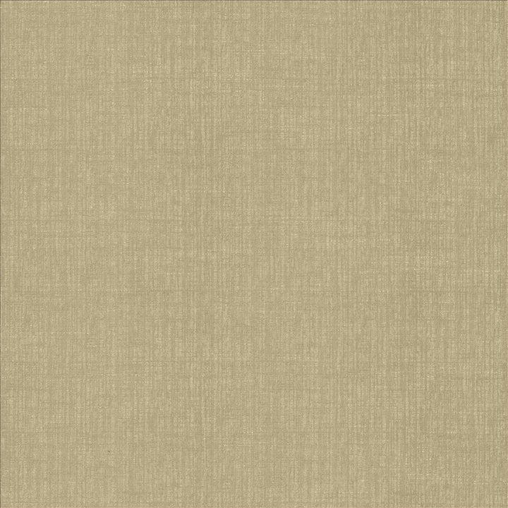 Ascent Latte by Kasmir Fabric 5119 58% Polyester
42% Cotton
 INDIA 12,000 Wyzenbeek Double Rubs </p><p>Repeat: Horizontal: N/A and Vertical: N/A 54 - Fabric Carolina -