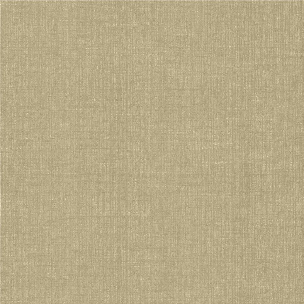 Ascent Latte by Kasmir Fabric 5119 58% Polyester
42% Cotton
 INDIA 12,000 Wyzenbeek Double Rubs Horizontal: N/A and Vertical: N/A 54 - Fabric Carolina -