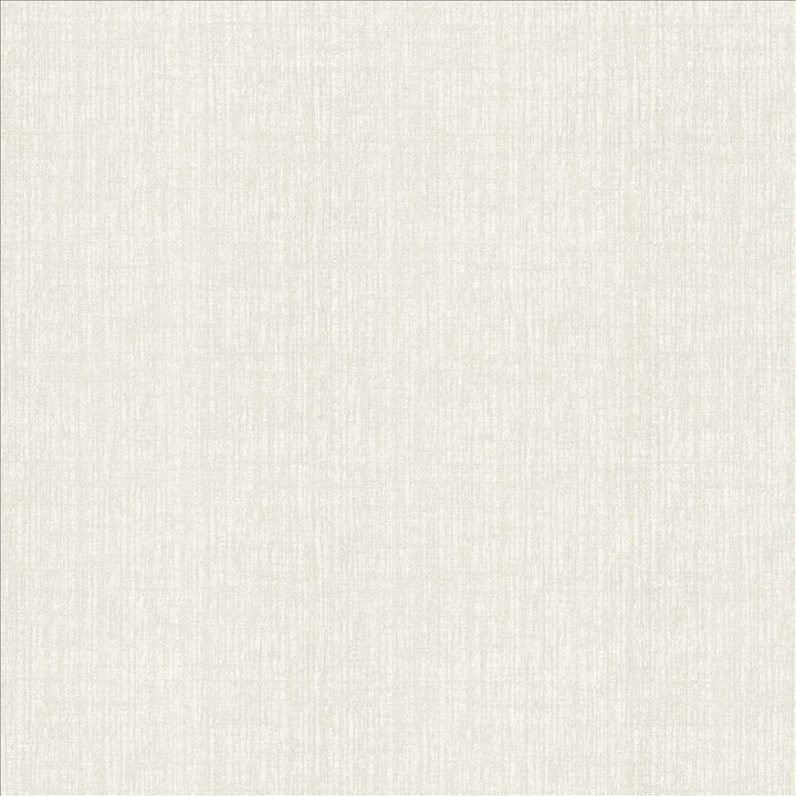 Ascent Snow by Kasmir Fabric 5119 58% Polyester
42% Cotton
 INDIA </p><p>Repeat: Horizontal: N/A and Vertical: N/A 54 - Fabric Carolina -