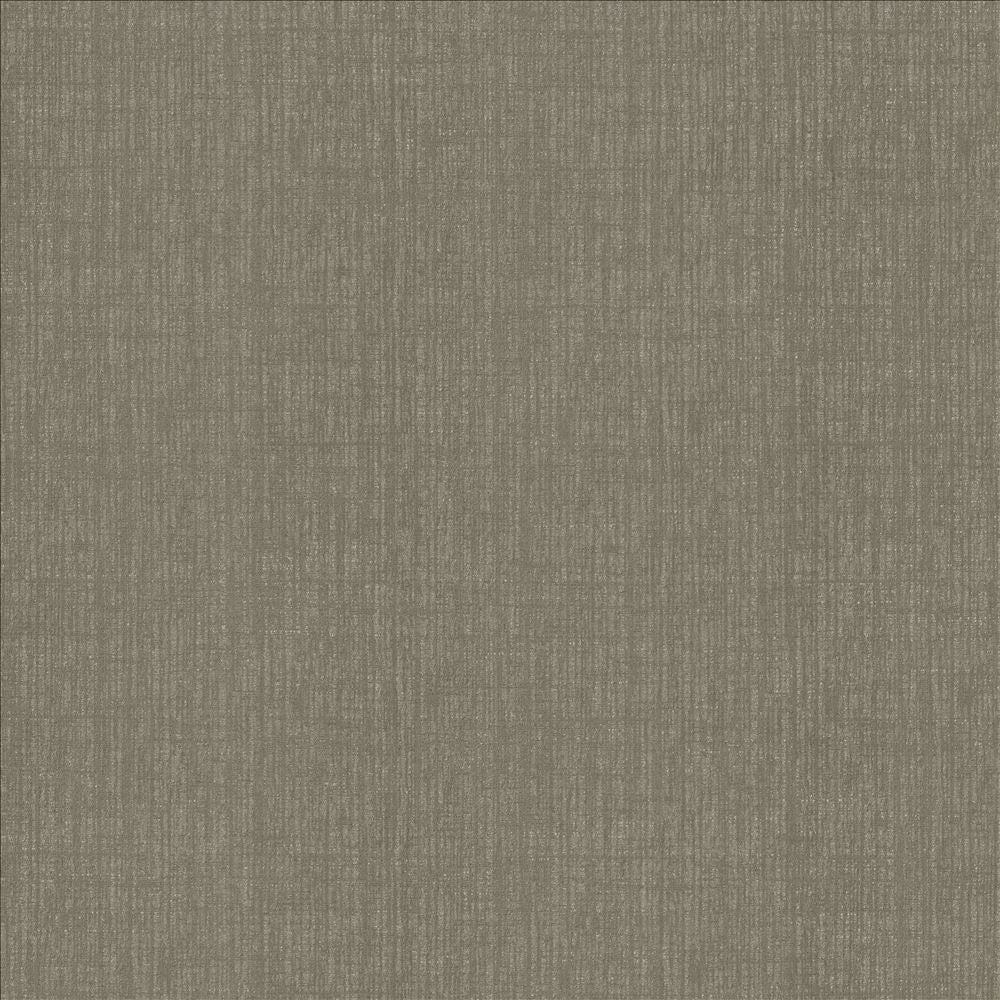 Ascent Storm by Kasmir Fabric 5119 58% Polyester
42% Cotton
 INDIA </p><p>Repeat: Horizontal: N/A and Vertical: N/A 54 - Fabric Carolina -